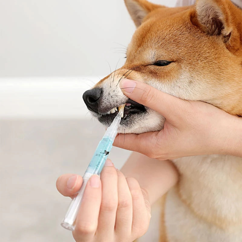 Caneta Dental Removedora de Tártaro para Pets | Limpeza Dental Profunda