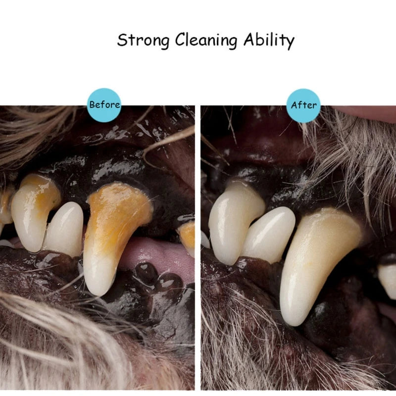 Caneta Dental Removedora de Tártaro para Pets | Limpeza Dental Profunda
