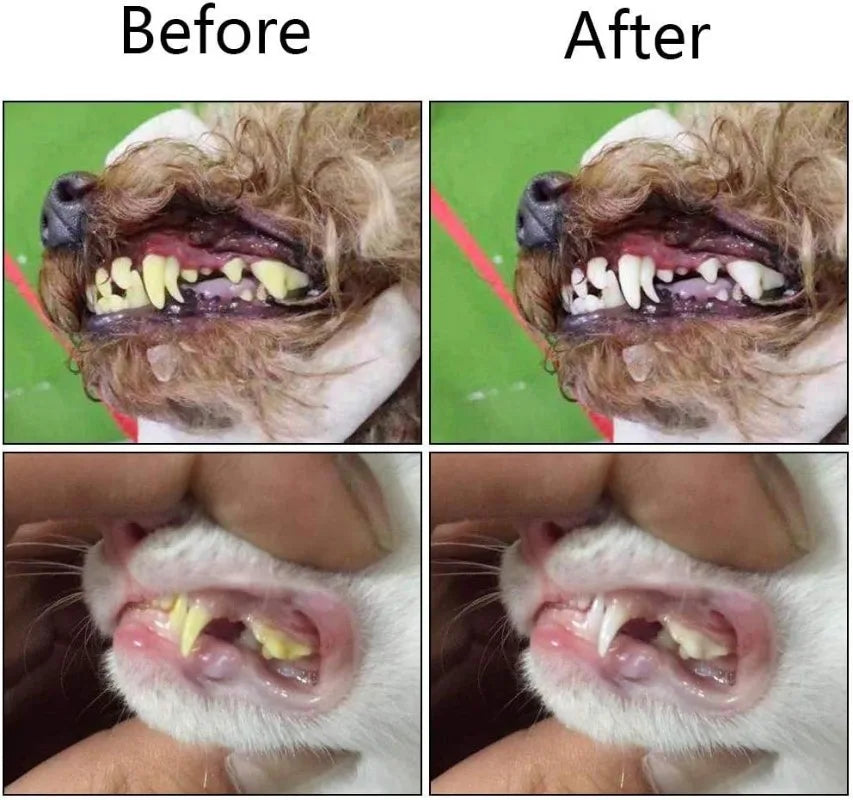 Kit de 6 Escovas de Dente Dedal de Silicone | Limpeza eficiente dos dentes dos Achuris