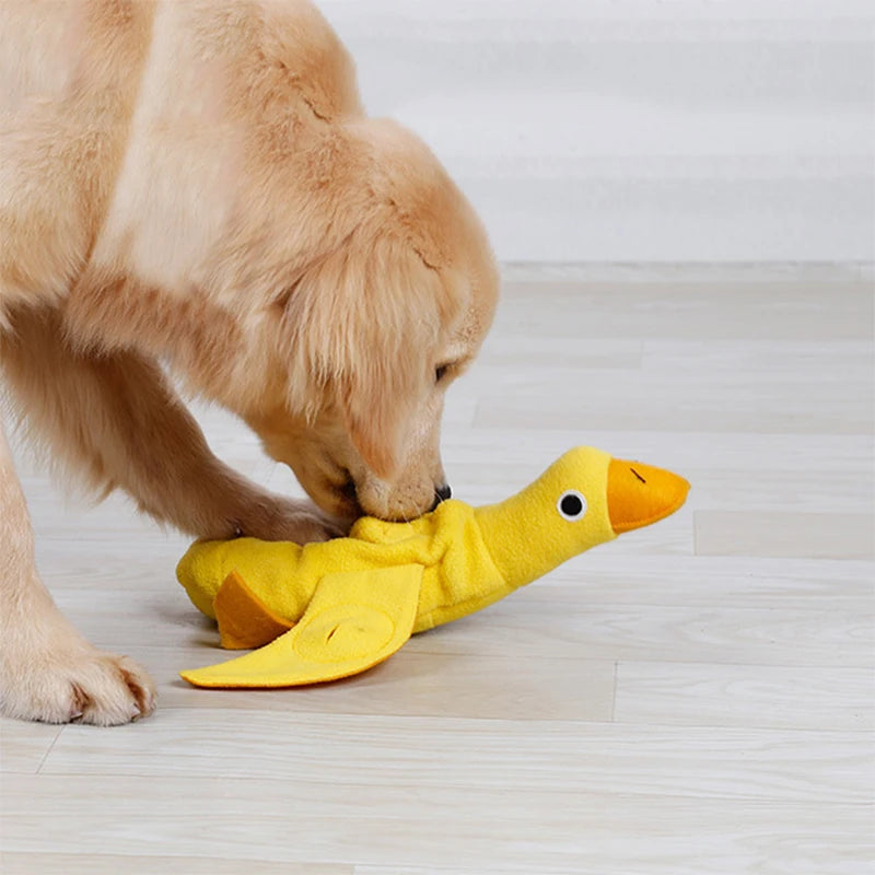 Brinquedo Interativo para Cachorros e Gatos | Snuffle Snuffle