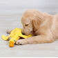 Brinquedo Interativo para Cachorros e Gatos | Snuffle Snuffle