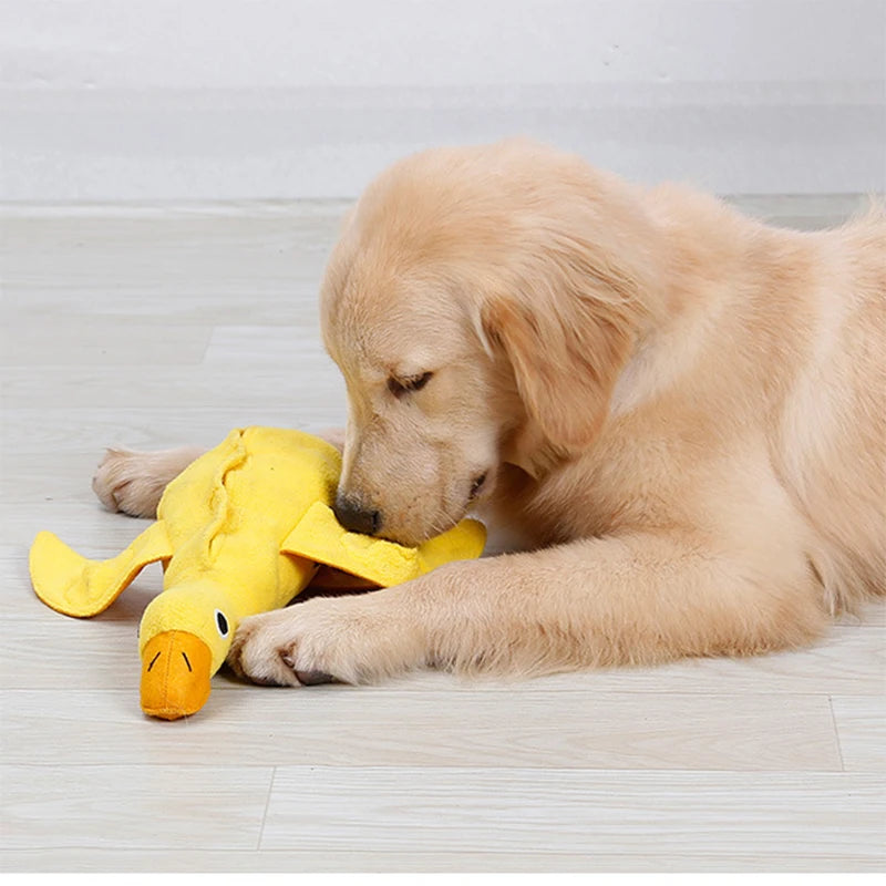 Brinquedo Interativo para Cachorros e Gatos | Snuffle Snuffle
