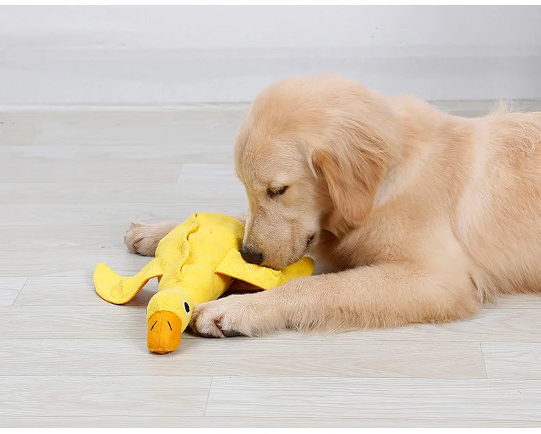 Brinquedo Interativo para Cachorros e Gatos | Snuffle Snuffle