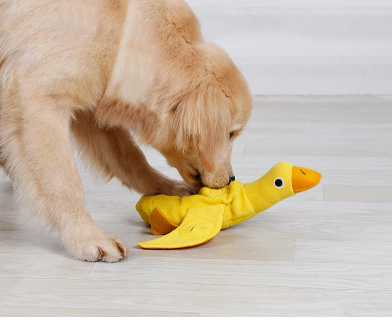 Brinquedo Interativo para Cachorros e Gatos | Snuffle Snuffle