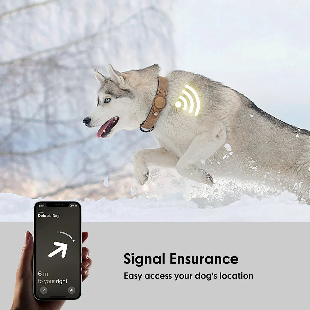 Coleira de Couro Macia com suporte para AirTag e fivela de Metal Acolchoada e Resistente